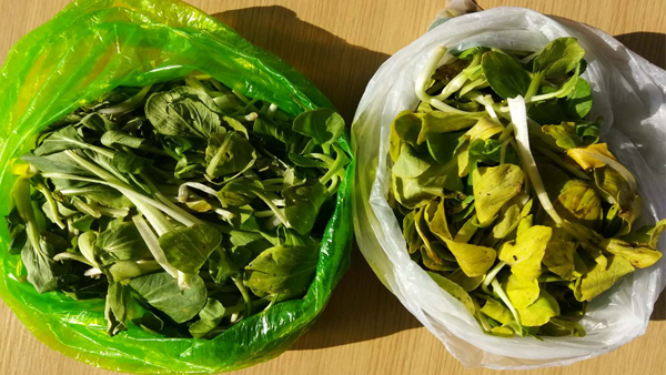 可降解塑料袋能不能放冰箱？